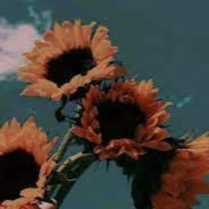 Meet your Posher, Maeve